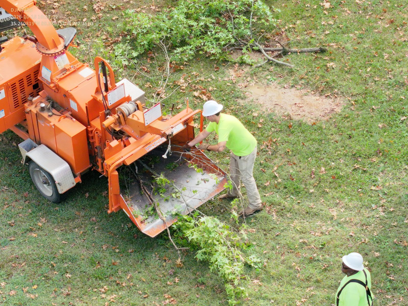 A member of The Right Of Way Crew feeding branches into an orange wood chipper
