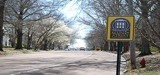 Main Street sign beside a tree-lined road in Bolivar