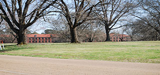 Brick buildings seen across a grassy lawn framed by bare oak trees