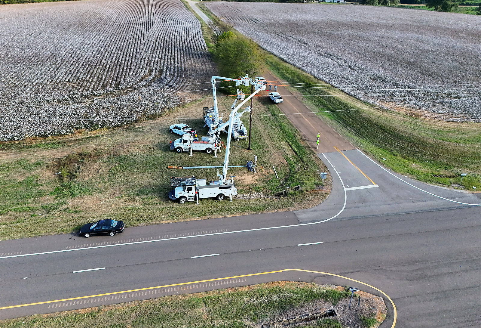 A BEA line crew and their bucket trucks working on a power pole between cotton fields along a rural road