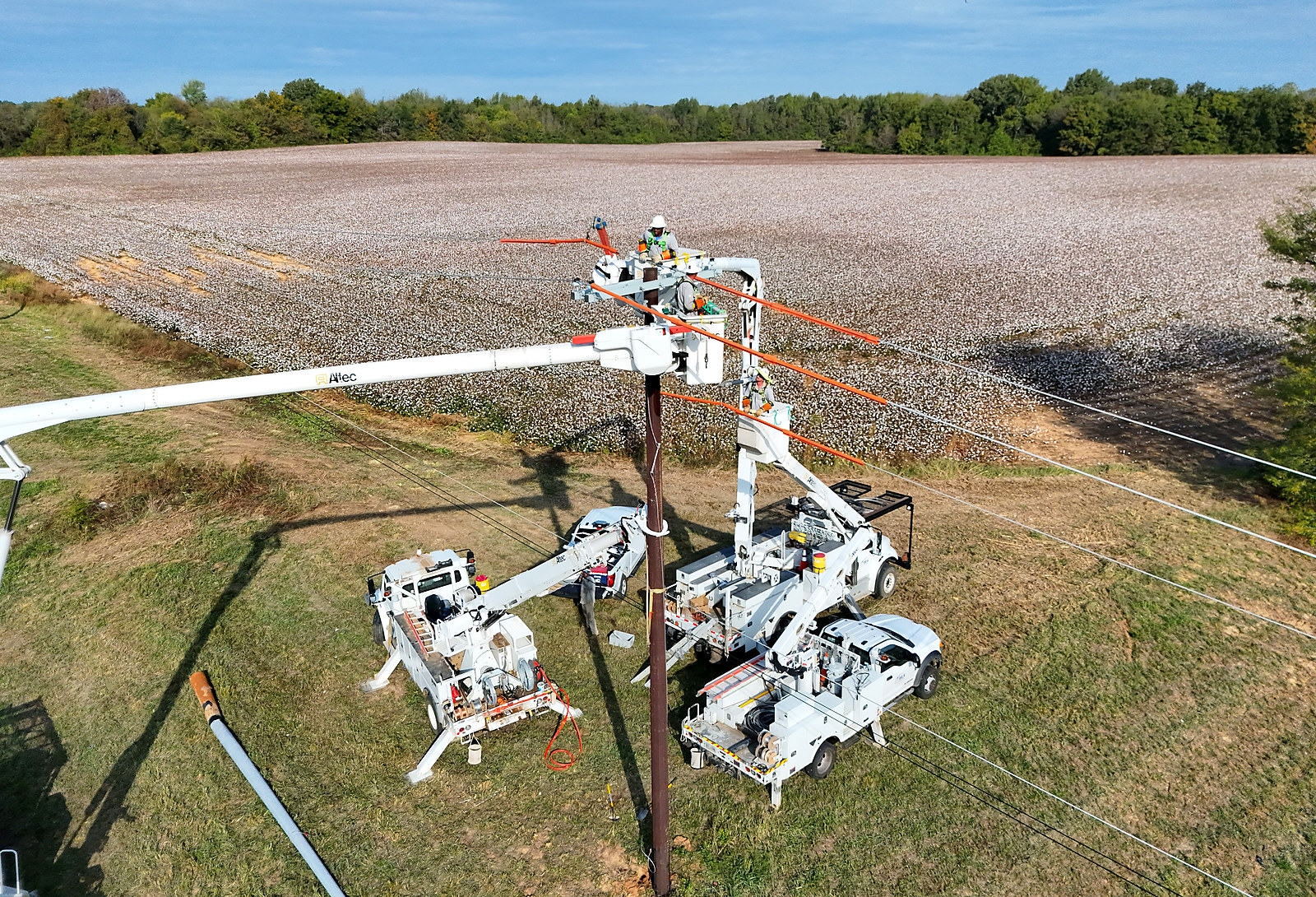 Two BEA linemen in bucket trucks working on power lines at a pole beside a cotton field