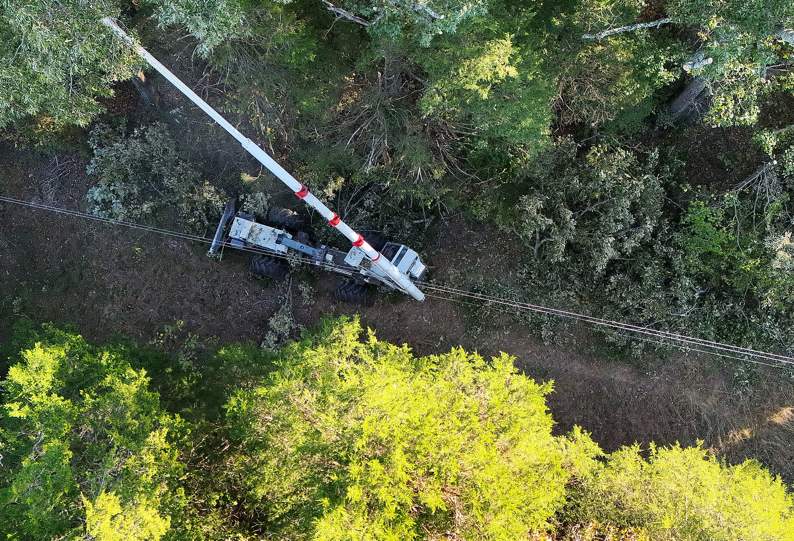 A boom mower cutting trees back from a power line right of way through the woods